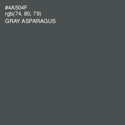 #4A504F - Gray Asparagus Color Image